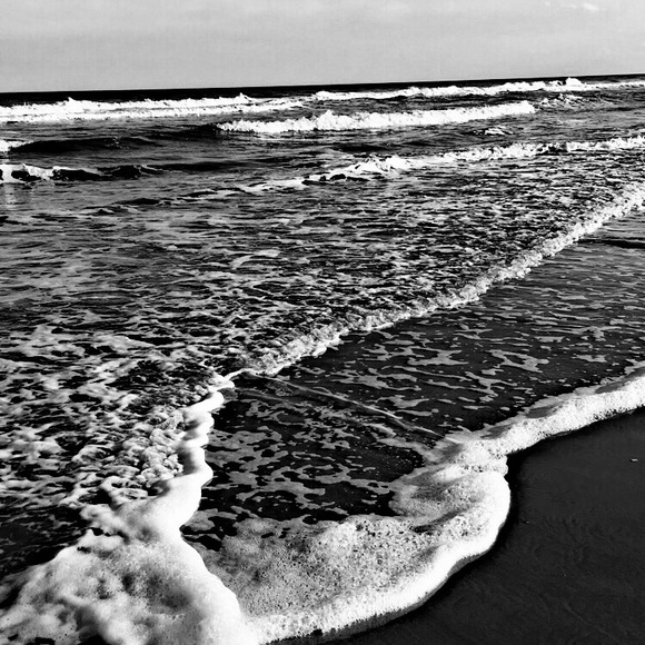 Meet your Posher, Isabelle - Picture 1 of 1